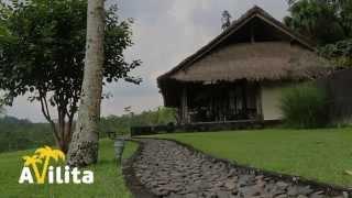 Villa rentals.  Villas for rent in Bali Villa Kelusa I