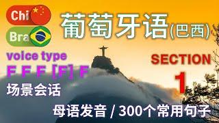 葡萄牙语 / Type F F F [F] F [Section 1] 场景会话。 / 300个句子简短和容易