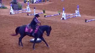 EXCA World Championship - Novice - Final Round - Full