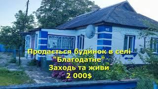 БУДИНОК ПРОДАМ ЗА 2 000$ В СЕЛІ "БЛАГОДАТНЕ", ЗАХОДЬ І ЖИВИ / ОГЛЯД / Кіровоградська обл