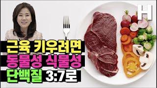 단백질 이렇게 먹어야 대박! 더이상 식물성-동물성 단백질로 고민하지 마세요!