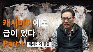 캐시미어라고 다 같은 캐시미어는 아니다 Part I (캐시미어 등급)