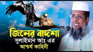 জিনের বাদশা সুলাইমান (আঃ) এর আশ্চর্য কাহিনী । তোফাজ্জল হোসেন ভৈরবী। Tofazzal hossain bhairovi |