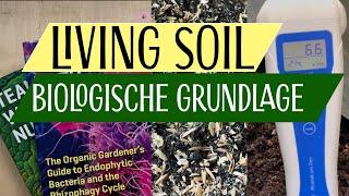 Perfekte Living Soil | jahrelang wiederverwendbar ohne zu Düngen