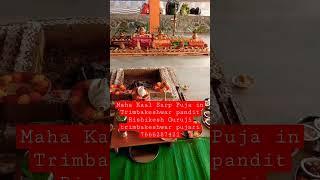Maha kaal Sarp Puja in Trimbakeshwar Pandit Rishikesh Guruji trimbakeshwar #shorts #short #viral