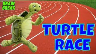 TURTLE RACE! BRAIN BREAK. EXERCISE BREAK. MOVEMENT ACTIVITY BETTER THAN FREEZE DANCE/FLOOR IS LAVA?