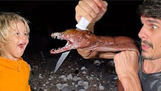 VIPER MORAY EEL HUNTING AT NIGHT - Camping + Fishing Catch and Cook with My Boys