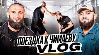 BADAEV VLOG: Хамзат Чимаев - меня подставили| Уиттакер-Алискеров, следующий Коста или Стриклэнд?