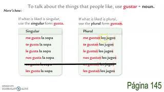 GUSTAR + NOUNS in Spanish