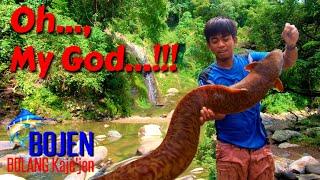 STRIKE THE MONSTER FRESHWATER EELS IN THE BIG ROCK CREVICE - Best Fishing #BOJEN