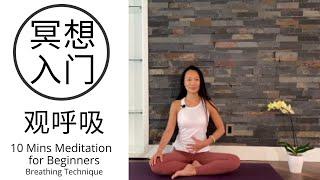 【10分钟初级冥想入门 | 观呼吸 】在呼吸之间静心养气 10 mins Meditation for Beginners | Breathing Technique