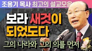 보라 새것이 되었도다 - 조용기 목사 최고의 설교모음 (CTSTV 방송설교 2011년 설교)