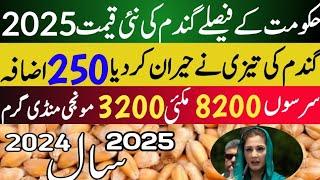 Today Wheat price in punjab//گندم کا ریٹ 2024/munji makki till sarso/Galla mandi rate today