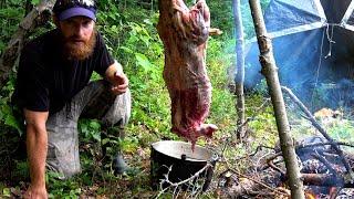 WILD BEAVER, Trap, Eat, Cook in the FOREST (Start-to-Finish)