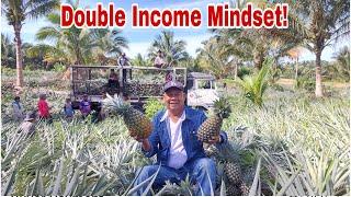 COCOPINE Farming- Coconut may Intercrop na Pineapple, Galing ng Diskarte