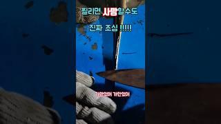 가오리 독침 사망에 이를수도... #sea #가오리 #poison #신기한영상