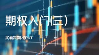 期权入门（三）｜buy Put 买看跌期权｜实例讲解｜buy put与做空的区别