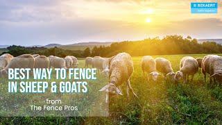 Learn the BEST Fencing for Sheep and Goats