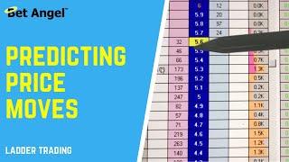 Betfair trading | How to predict price movements on a ladder interface