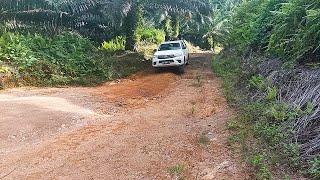 New Toyota Hilux Heavy Offroad in the Borneo Extreme Road!! Trailhunters 4x4