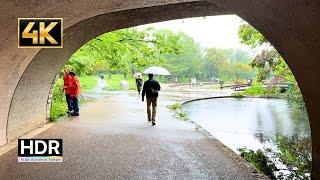 4K Japan Walk | Walking in the rain Nakamachidai Yokohama | 4K HDR 横浜市都筑区仲町台　雨散歩　緑の町