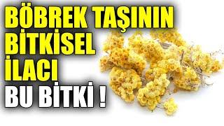 Böbrek taşına, Safra kesesine ve mide dostu mucize bitki !