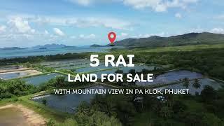 5 Rai Land with Mountain View for Sale in Pa Khlok, Phuket