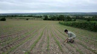 Pré-en-Pail Mayenne France / 2 JUN 2015