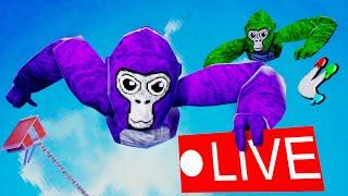 Fan Lobbies with TTT! | Gorilla Tag Livestream