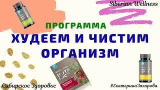 Детокс программа. Сибирское Здоровье. Siberian Wellness