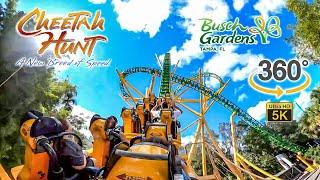 VR 360 5K Cheetah Hunt Roller Coaster On Ride POV Busch Gardens Tampa 2022 01 01