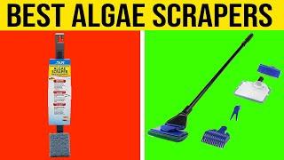 Top 5 Best Algae Scrapers