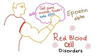 Erythropoietin (EPO) & Red Blood Cells (RBCs) - Oxygenation - Endurance - Exercise