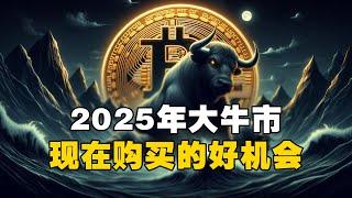 2025年大牛市！现在购买的好机会？！ #比特币 #加密货币