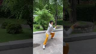 Chen-Style Tai Chi#taichi #taijiquan #kungfu #wushu #sports #shorts