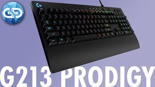 Logitech G213 Prodigy Review - DER BESTSELLER UNTER DEN GAMING TASTATUREN