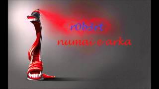 r0b3rt - numai e arka