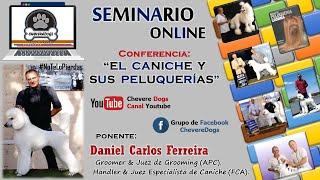 EL CANICHE Y SUS PELUQUERÍAS | SEMINARIOS ONLINE | FEAT. DANIEL FERREIRA | #CHEVEREDOGS