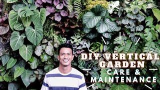 DIY VERTICAL GARDEN CARE & MAINTENANCE