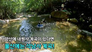 [울산,수심 2.5M] 리틀 울산물개와 즐기는 석남사계곡