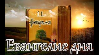 Евангелие и Святые дня. Апостольские чтения. Перенесение мощей сщмч. Игна́тия Богоносца. (11.02.24)