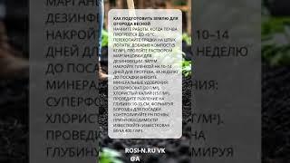Как подготовить землю для огорода весной  #садоводство #рецепты #наноудобрение #дача #овощи