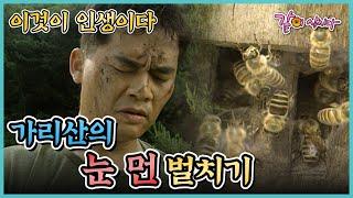 [이것이 인생이다] 가리산의 눈 먼 벌치기 | KBS 1998.06.18. 방송