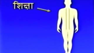 40 aspect of Veda and Vedic Literature in the human physiology