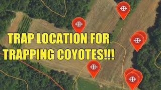 LOCATION AND BAIT SELECTION FOR TRAPPING COYOTES!!!!