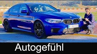 BMW M5 - the German muscle car? FULL REVIEW F90 all-new 5-Series M 2018 acceleration & sound