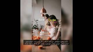 Surat ut Tauba 9:24 | The Message | #quran | Urdu |