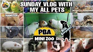 Sunday vlog with my all pets || आज मेरे mini zoo में सबसे मिलेंगे