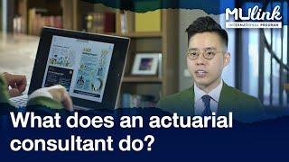 What does an actuarial consultant do? | MU Link