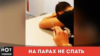 Преподаватель зверь или почему не стоит спать на парах, студенты... ( HOT VIDEOS | Смотреть HD )